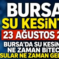 Bursa