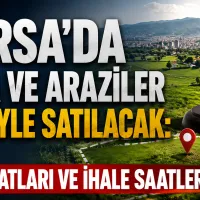 Bursa
