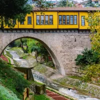 Bursa