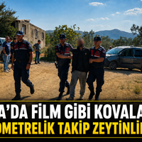 Bursa