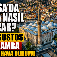 Bursa
