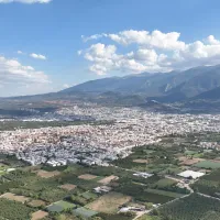 Bursa