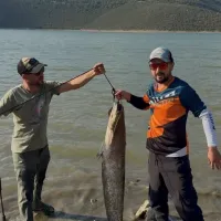 Bursa