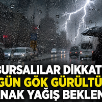 Bursa