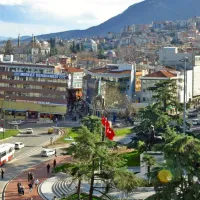 Bursa