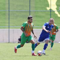 Spor