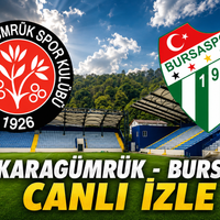 Bursa