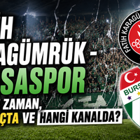 Spor