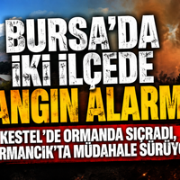 Bursa