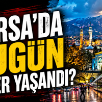 Bursa