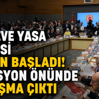 Siyaset