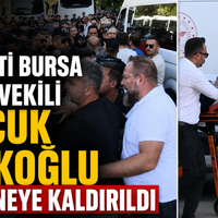 Bursa