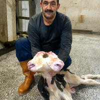 İnegöl