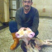 İnegöl
