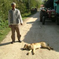 İnegöl