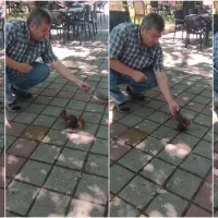 İnegöl
