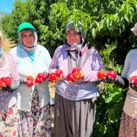 Bursa