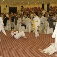 İnegöl