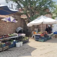 Bursa