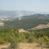 Bursa