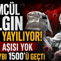 Sağlık