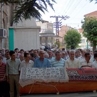 Bursa