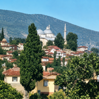 Bursa