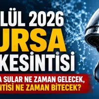 Bursa