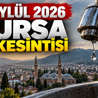 Bursa