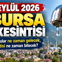 Bursa