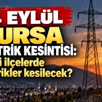 Bursa