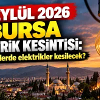 Bursa