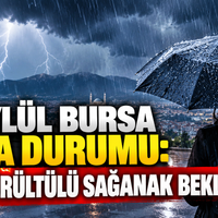 Bursa
