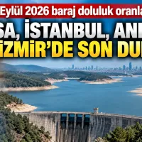 Bursa
