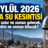 Bursa