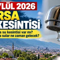 Bursa