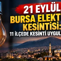 Bursa