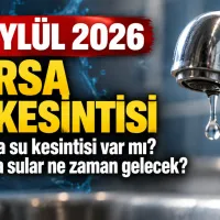 Bursa