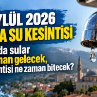 Bursa