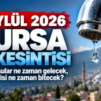 Bursa