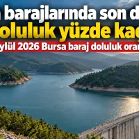Bursa