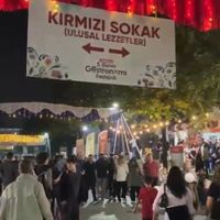 Bursa