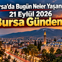 Bursa