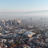Bursa