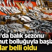 Genel