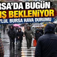 Bursa