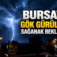 Bursa