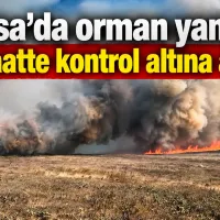 Bursa