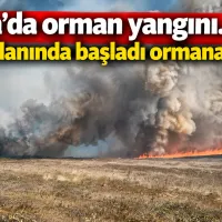 Asayiş