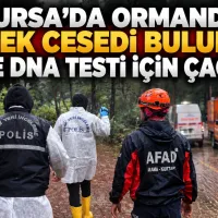 Bursa